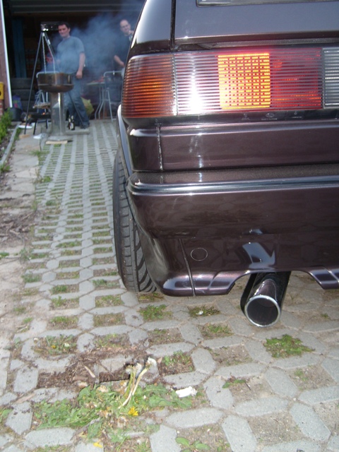 SL273581.JPG