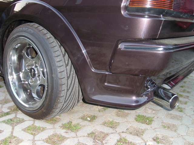 SL273582.JPG