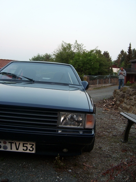 SL273584.JPG