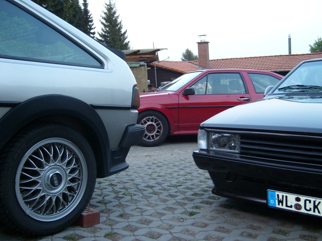 SL273586.JPG