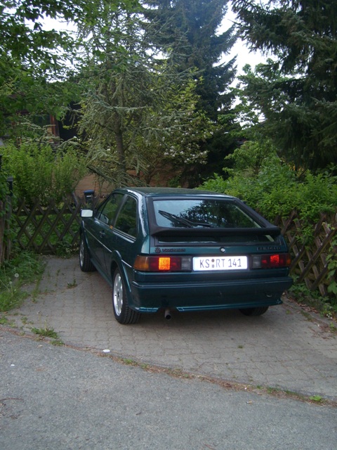 SL273594.JPG