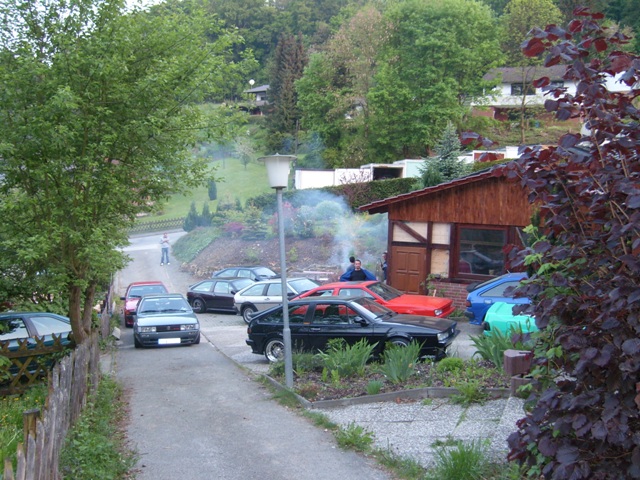 SL273595.JPG