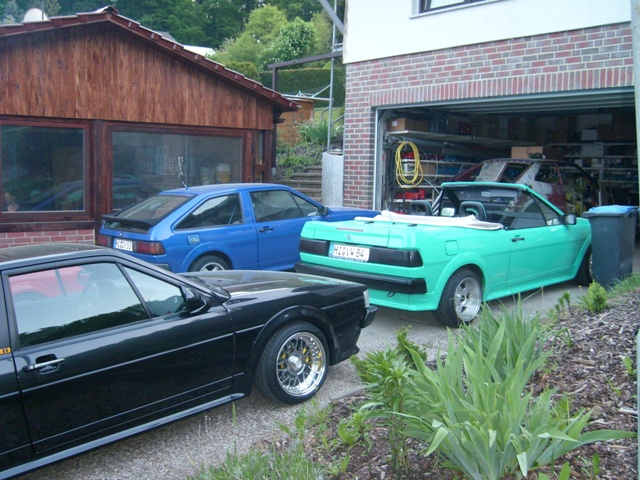 SL273599.JPG