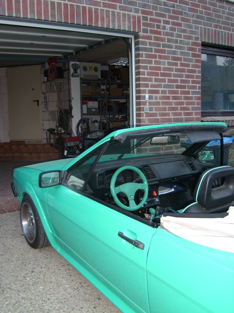 SL273608.JPG