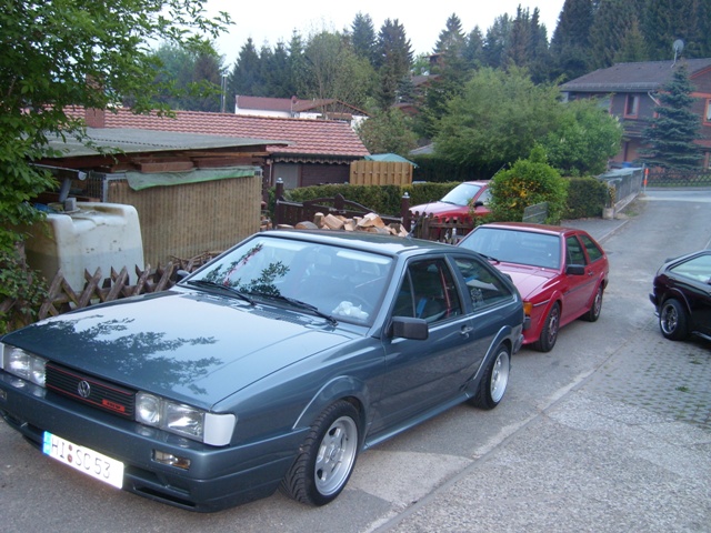 SL273612.JPG