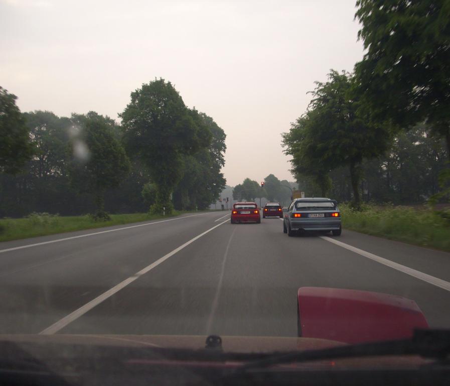 DSCI0819.jpg