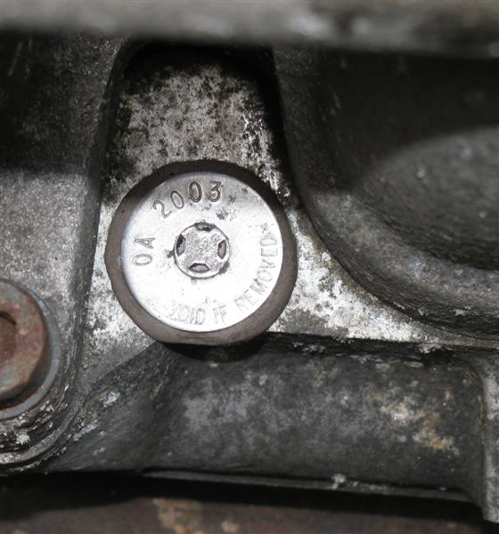 IMG_1221_ausschnitt (Medium).jpg