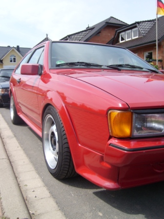 SL273676.JPG