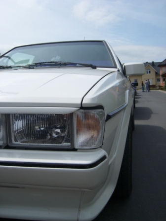 SL273695.JPG