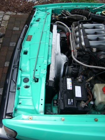 SL273716.JPG