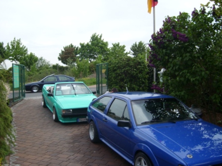 SL273745.JPG