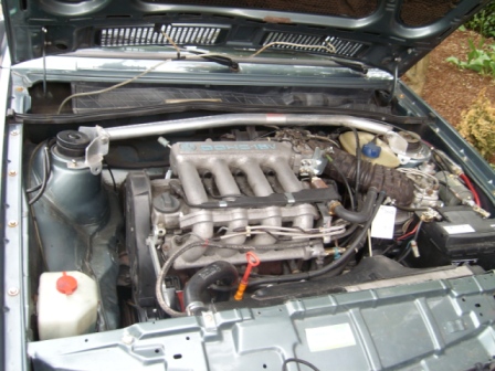 SL273753.JPG