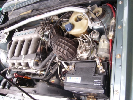 SL273755.JPG