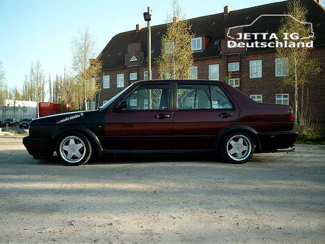 jetta ig.jpg