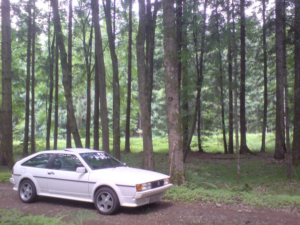 DSC00710.jpg