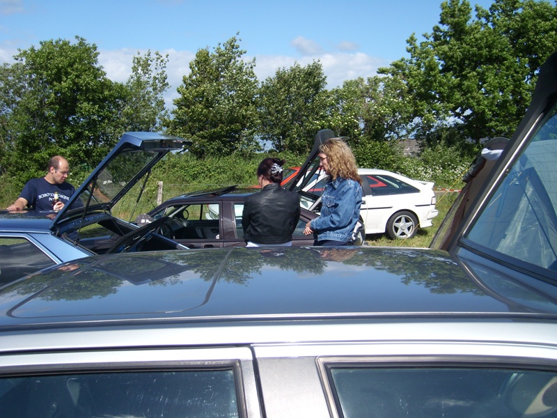 SL273823.JPG