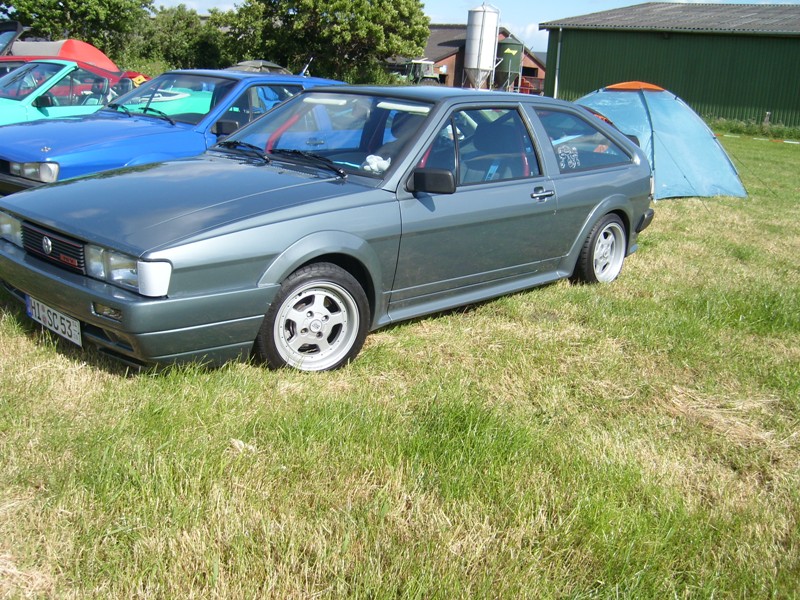 SL273846.JPG