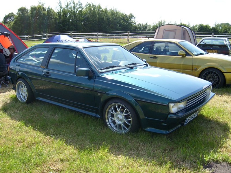 SL273848.JPG