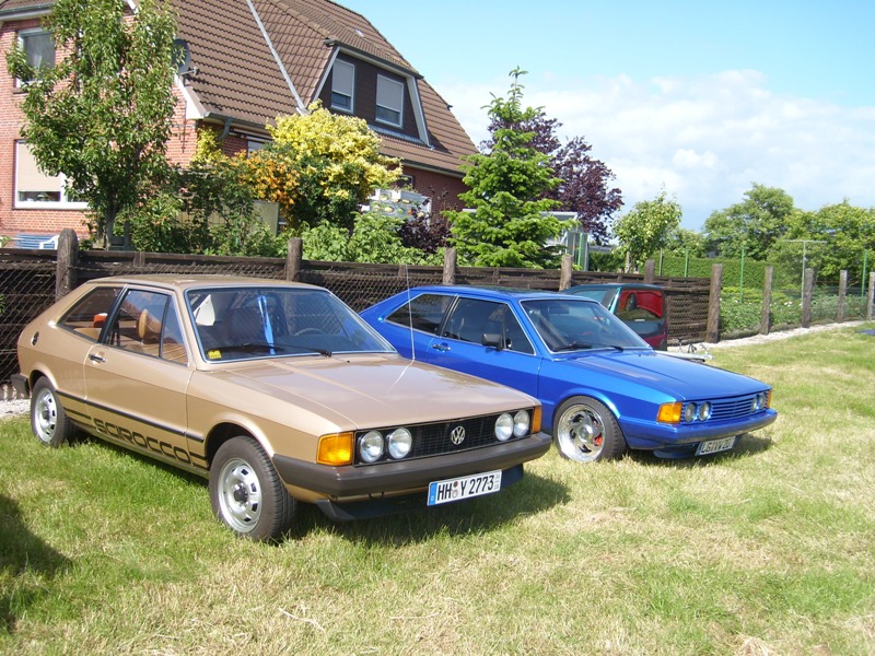 SL273852.JPG