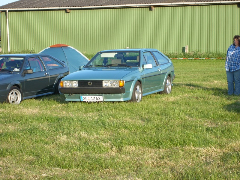 SL273871.JPG