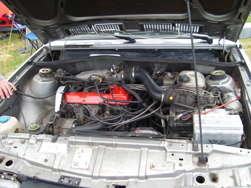 SL273894.JPG