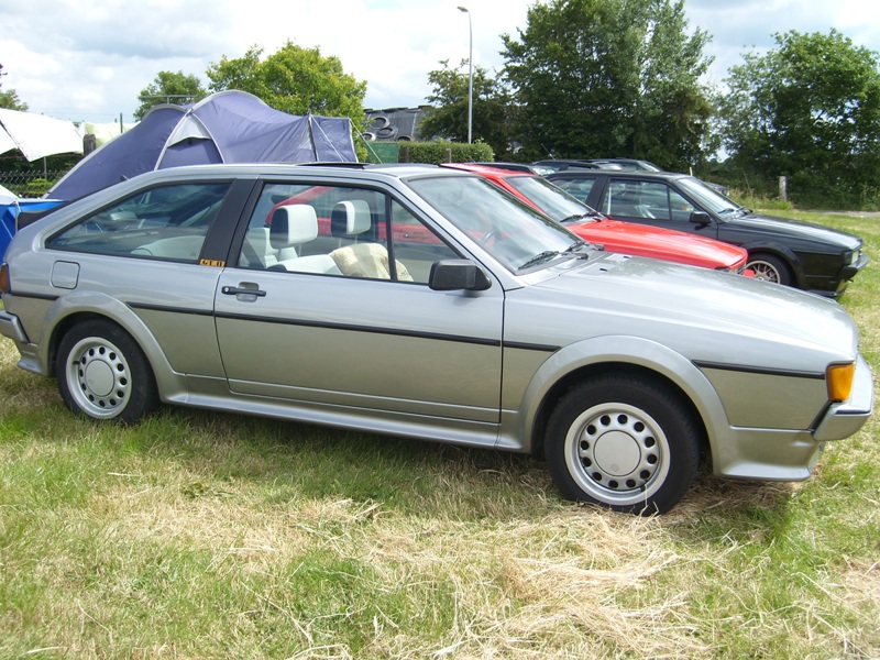 SL273929.JPG