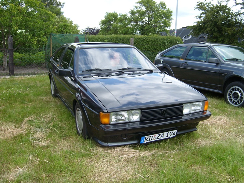 SL273943.JPG