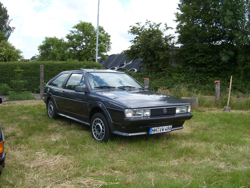 SL273944.JPG