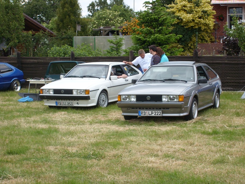 SL273964.JPG