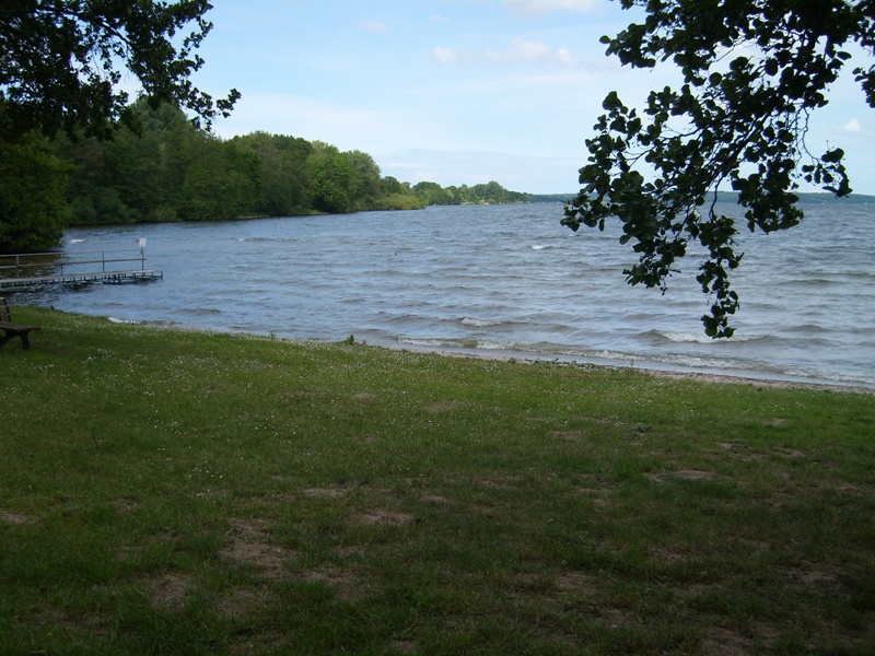 SL273988.JPG