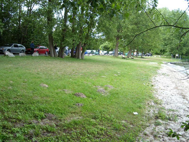 SL273990.JPG