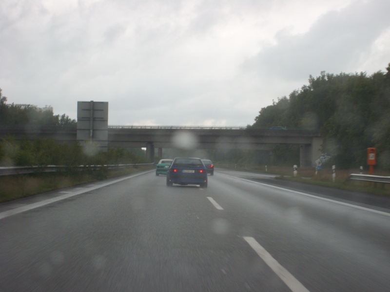 SL274045.JPG