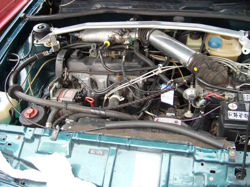 SL274079.JPG