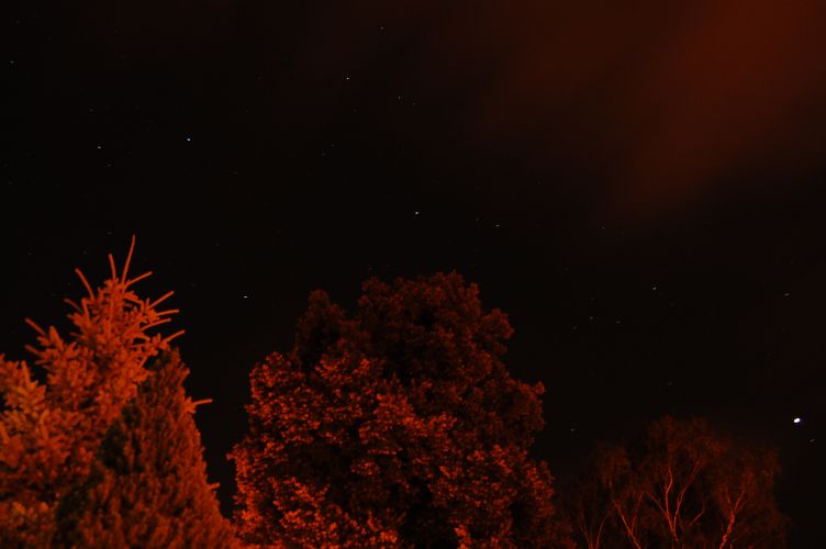 DSC_0622a.jpg