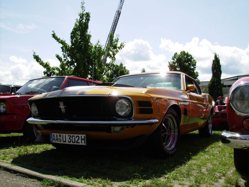IMGP0611.jpg