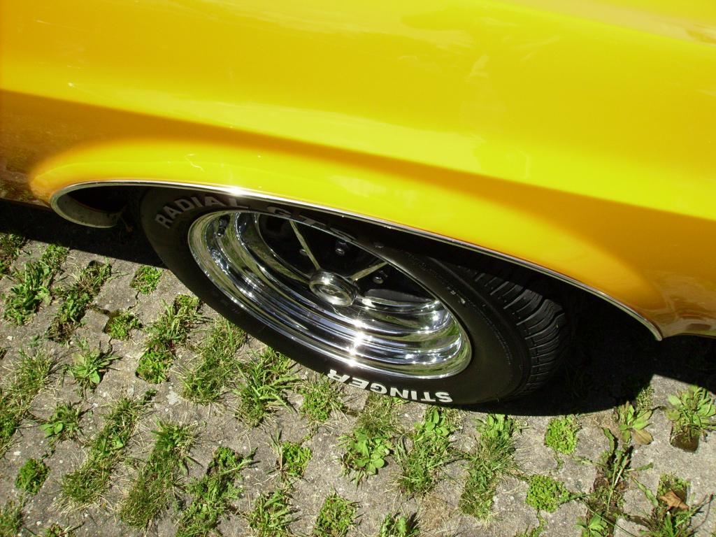 IMGP0614.jpg