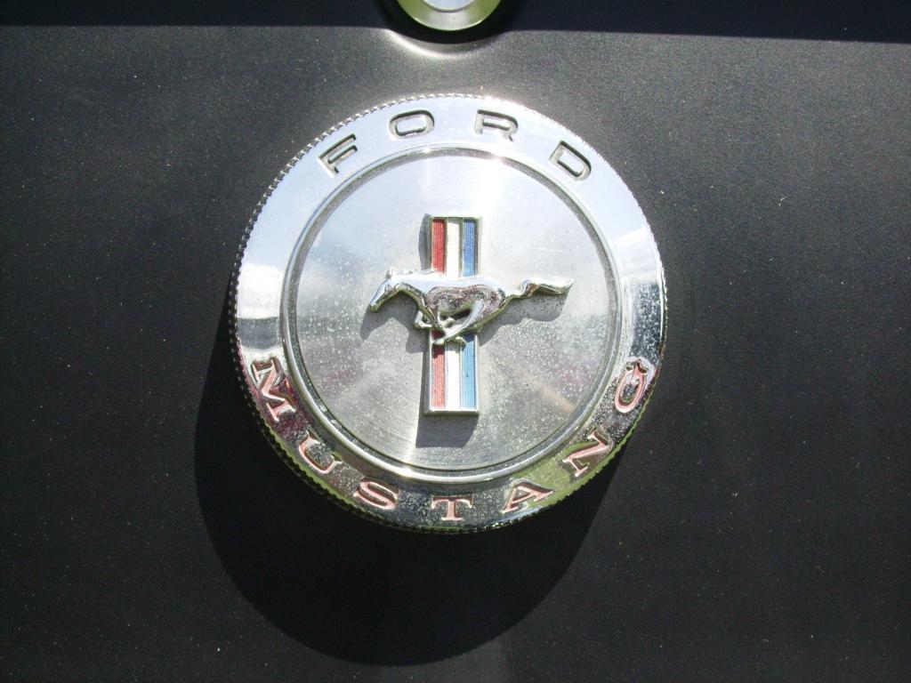 IMGP0617.jpg