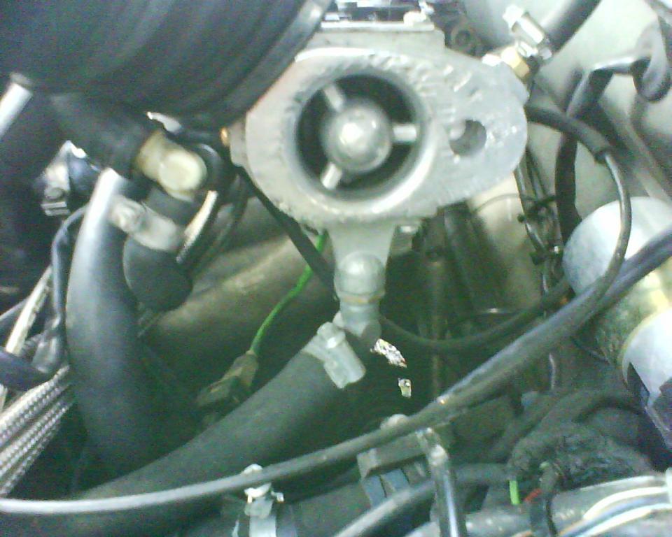 DSC00080.jpg