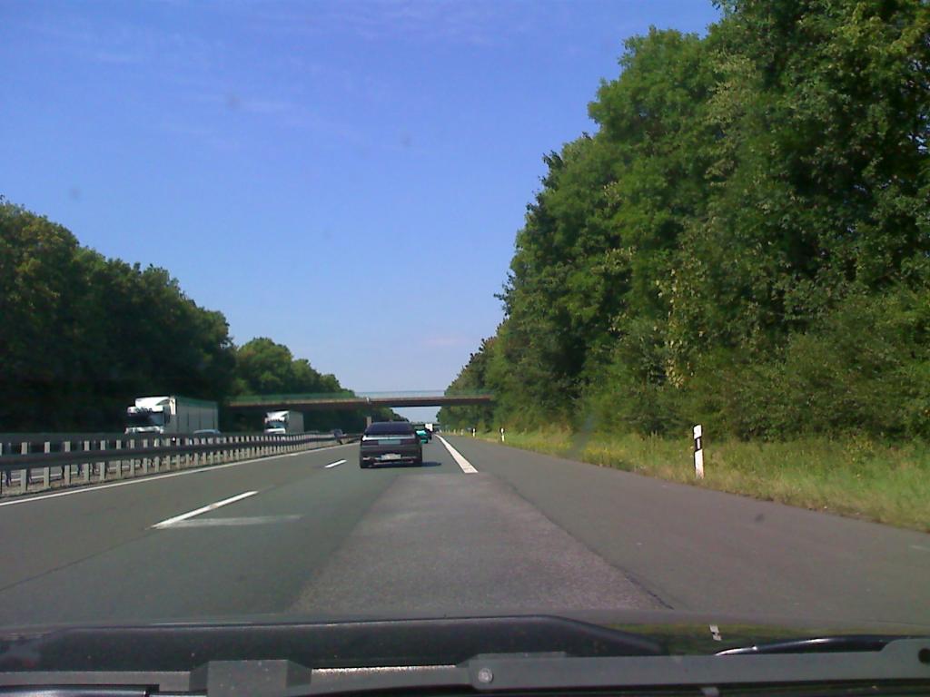 07-08-09_1049.jpg