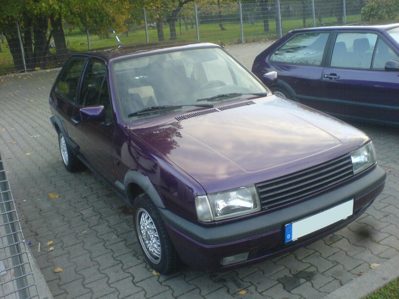 Polo von vorne.jpg
