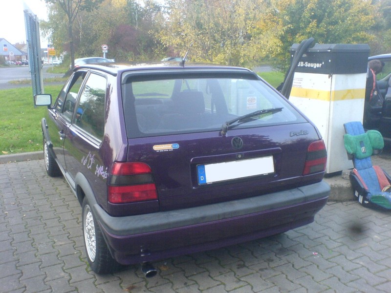 Polo von hinten.jpg