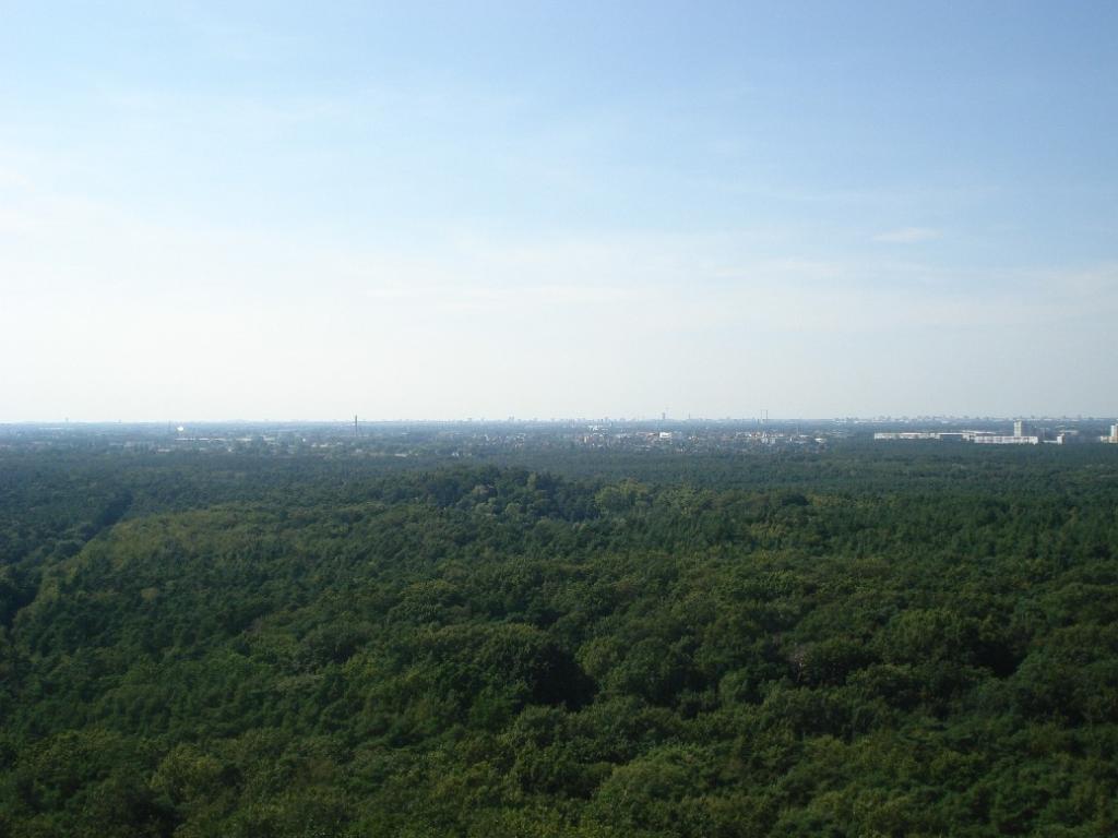 Berlin 2009-017.jpg