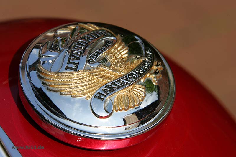 HQ7E3851.jpg