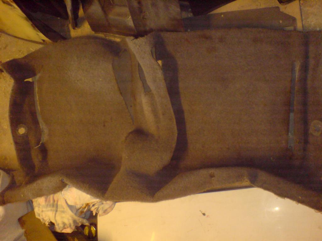DSC00924.jpg