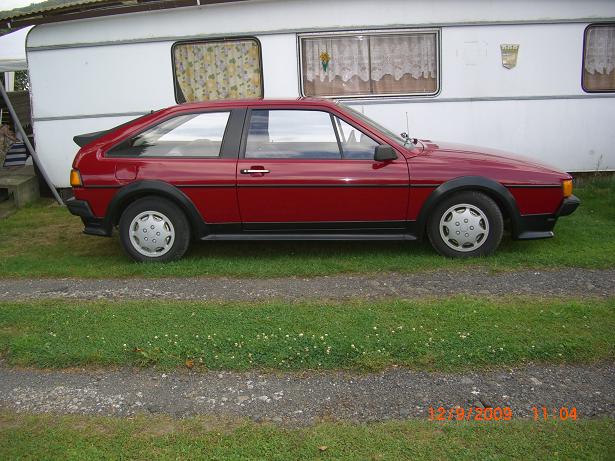 rocco2.JPG