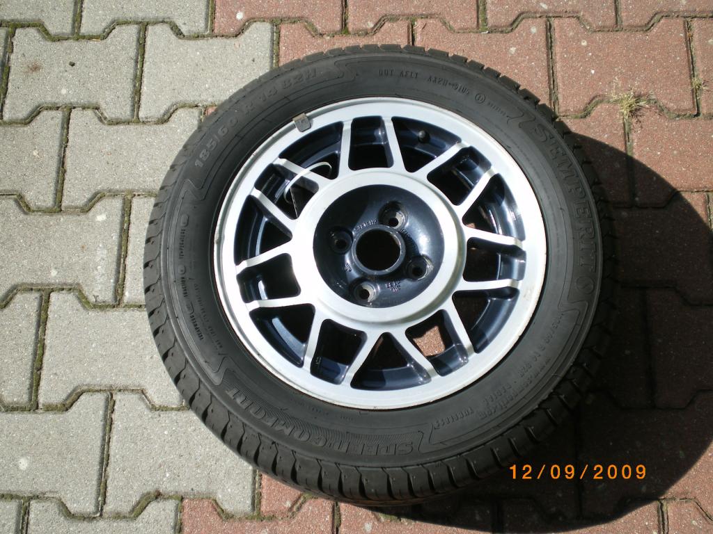 IMGP3264.jpg
