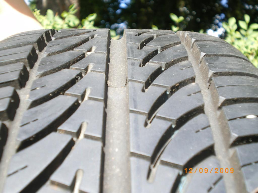 IMGP3272.jpg