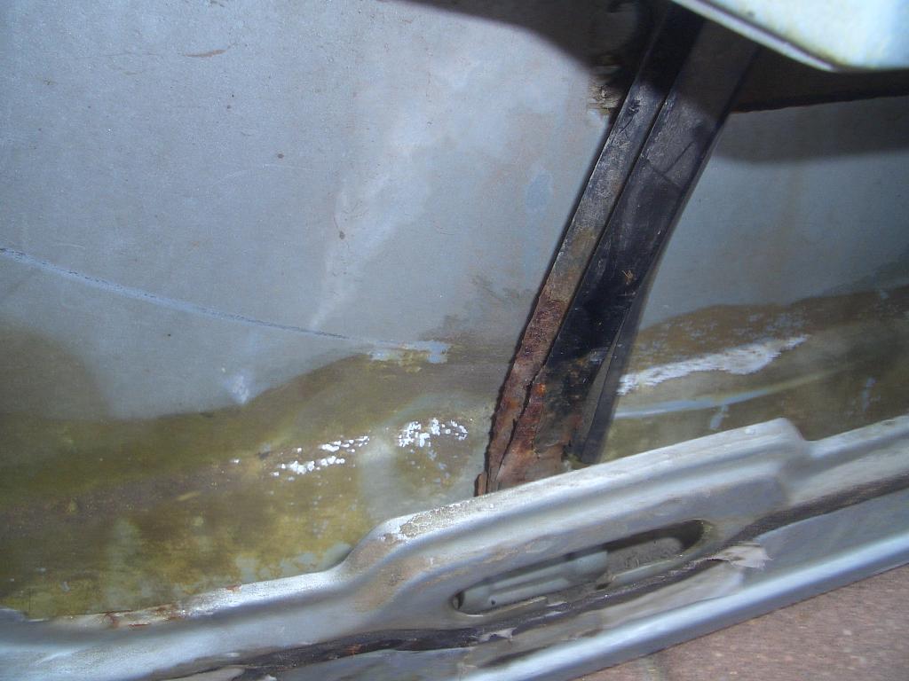 CIMG0209.jpg