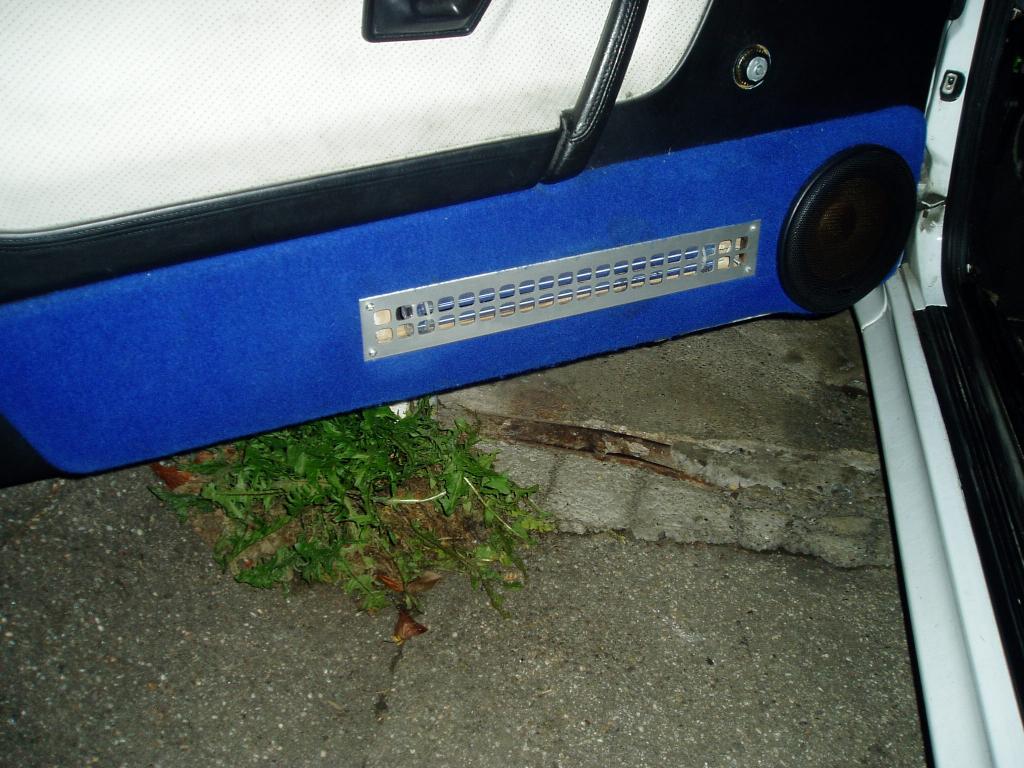 P1010224.jpg