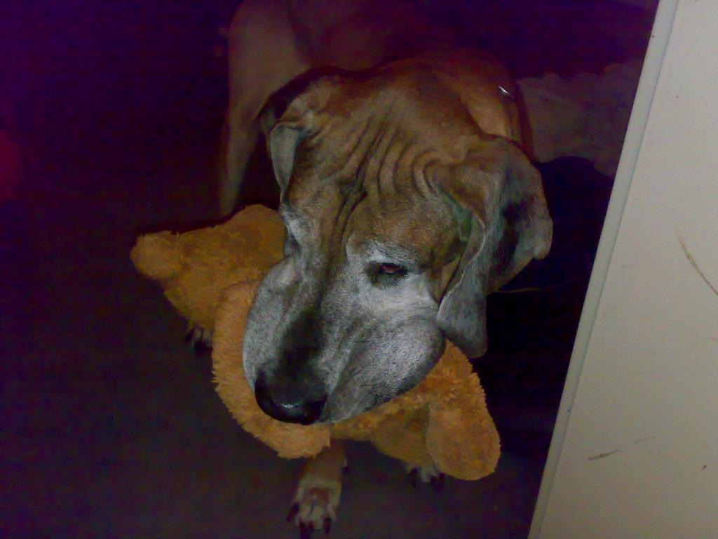 09112008193.jpg